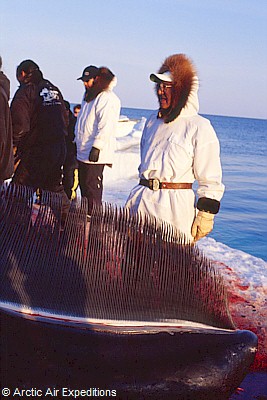 Eskimo Whaling Tours